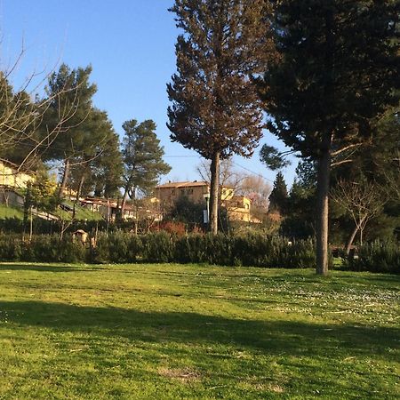 Toscana Holiday Village Montopoli in Val dʼArno Esterno foto