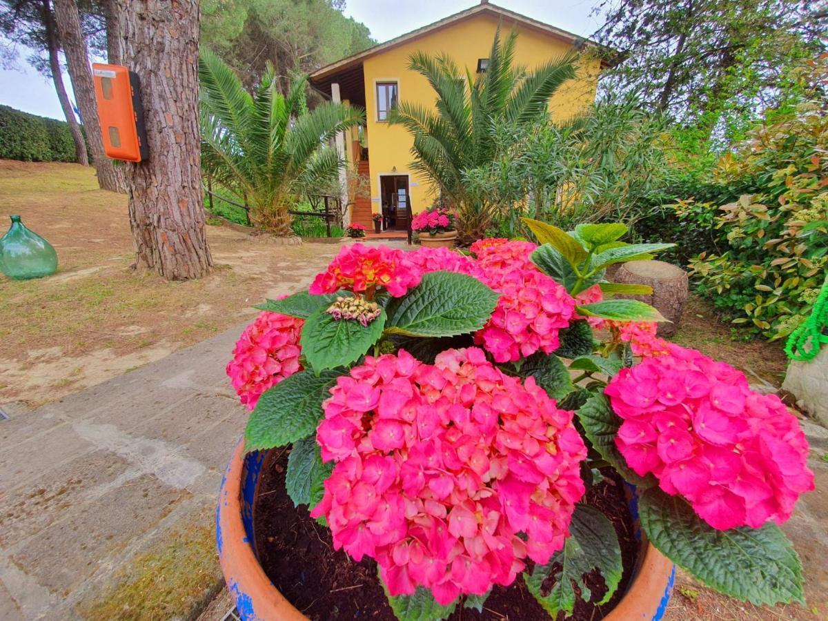 Toscana Holiday Village Montopoli in Val dʼArno Esterno foto