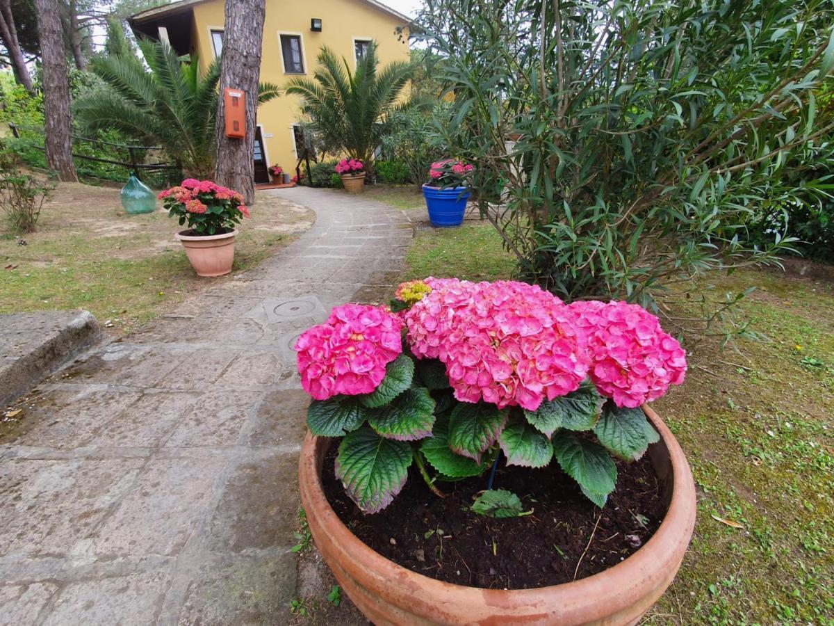 Toscana Holiday Village Montopoli in Val dʼArno Esterno foto
