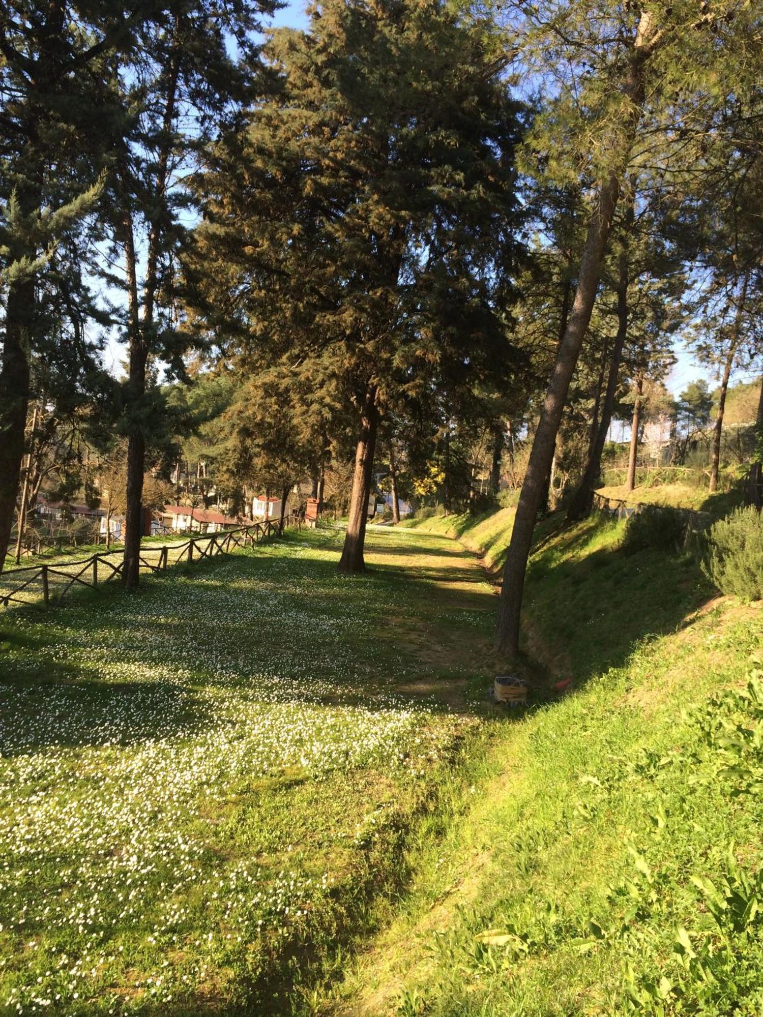 Toscana Holiday Village Montopoli in Val dʼArno Esterno foto
